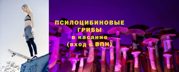 PSILOCYBIN Верея