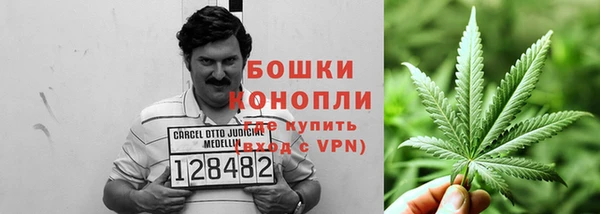 PSILOCYBIN Верея