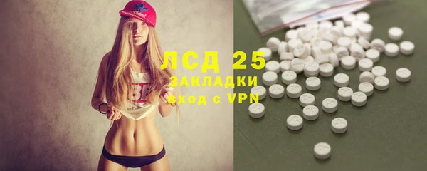 PSILOCYBIN Верея