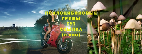 метадон Семикаракорск